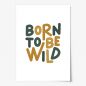 Preview: Born to be wild, Poster