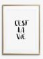 Preview: C'est la vie, Poster
