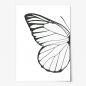 Preview: Left Butterfly Wing, Poster