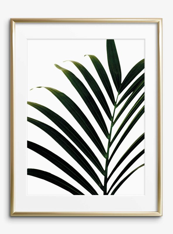 Palm Leaf, Poster