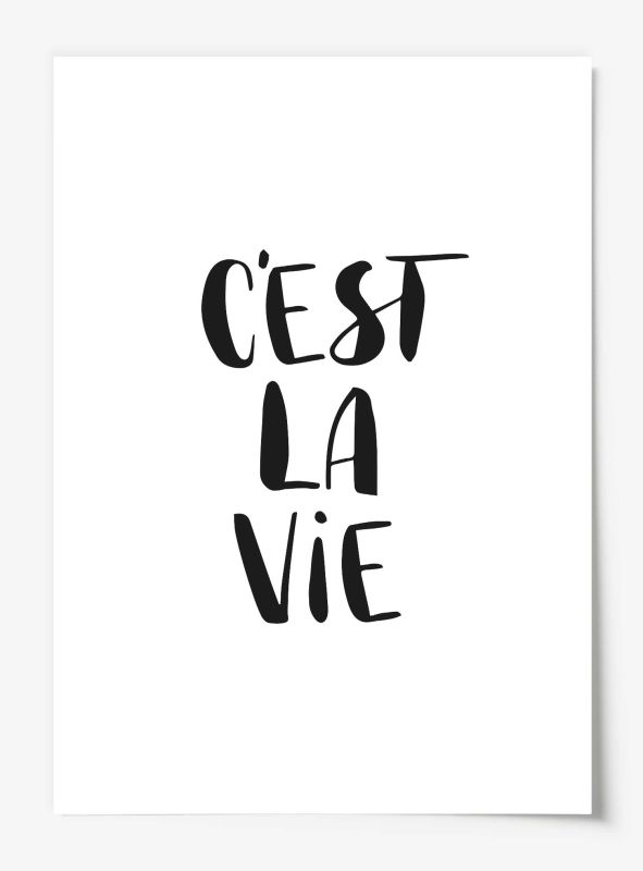 C'est la vie, Poster