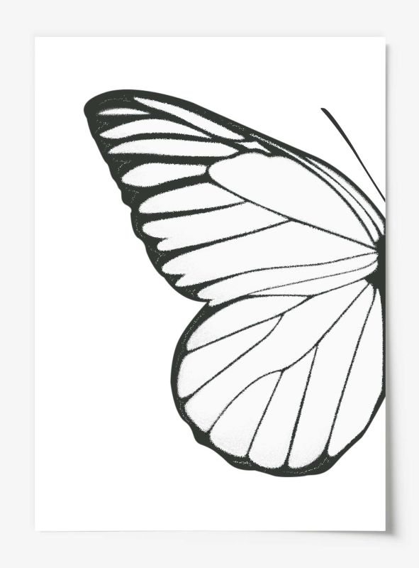 Left Butterfly Wing, Poster