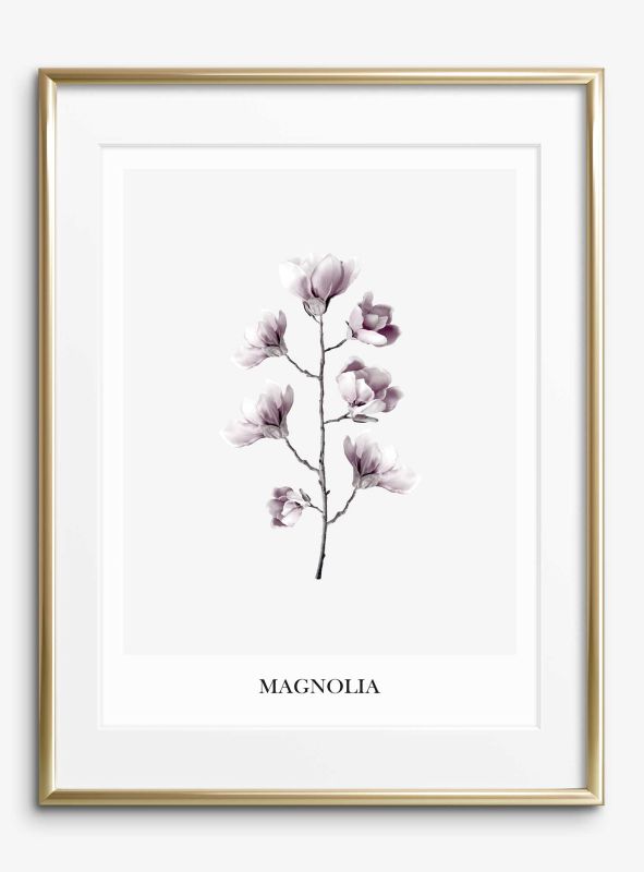 Magnolia, Poster